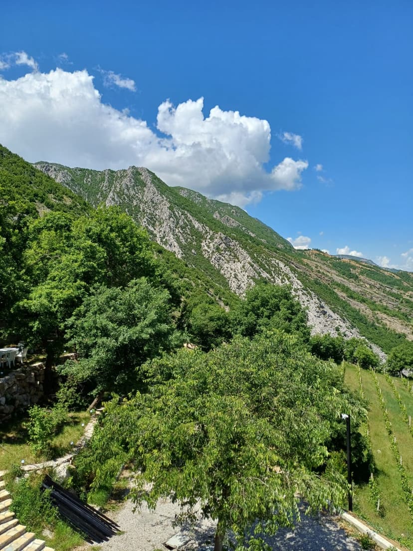 Bujtina Çupa terrace